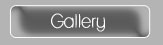 Photo Gallery